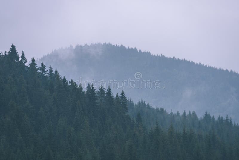 Misty morning view in wet mountain area in slovakian tatra. autumn colored forests - vintage film look