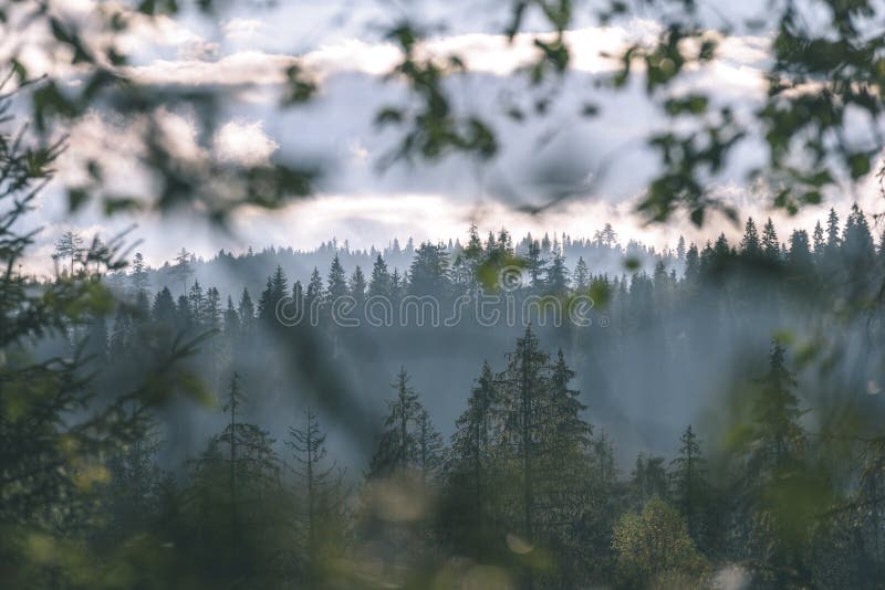 Misty morning view in wet mountain area in slovakian tatra. autumn colored forests - vintage film look