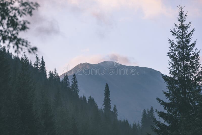 Misty morning view in wet mountain area in slovakian tatra. autumn colored forests - vintage film look