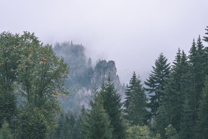 Misty morning view in wet mountain area in slovakian tatra. autumn colored forests - vintage film look