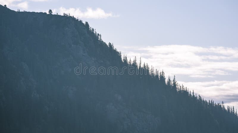 Misty morning view in wet mountain area in slovakian tatra. autumn colored forests - vintage film look