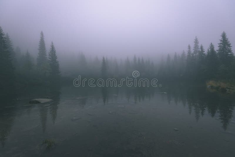 Misty morning view in wet mountain area in slovakian tatra. mountain lake panorama - vintage film look