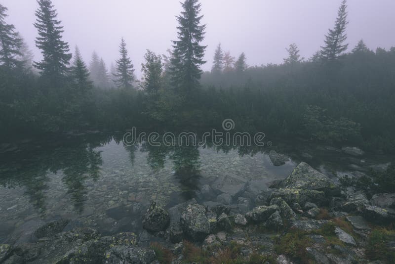 Misty morning view in wet mountain area in slovakian tatra. mountain lake panorama - vintage film look