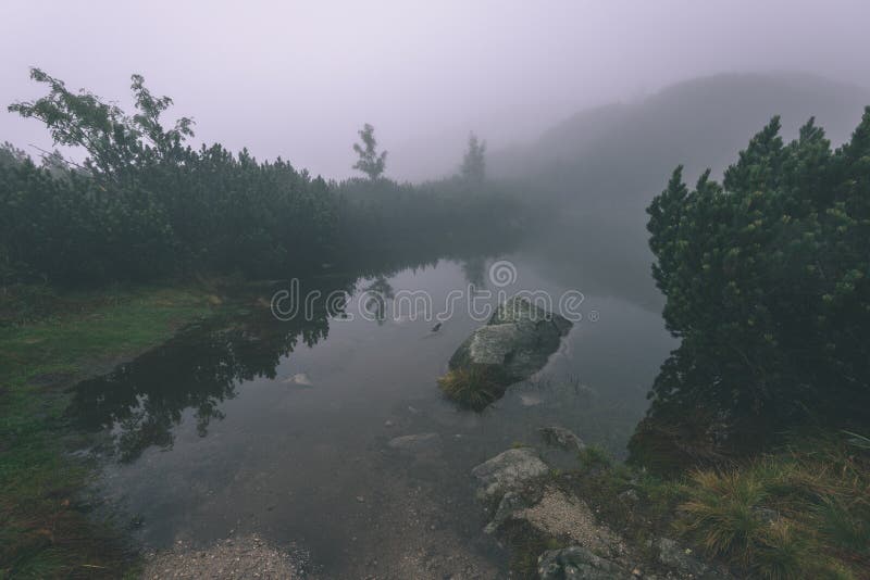 Mlhavé ráno pohled v mokré horské oblasti ve slovenských Tatrách. panorama horského jezera - vzhled vintage filmu