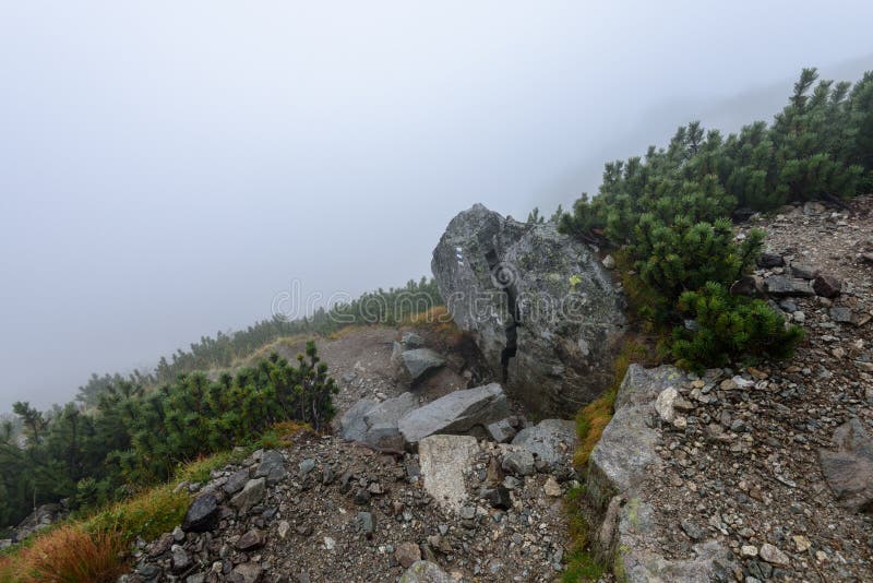 Misty morning view in wet mountain area in slovakian tatra. tour