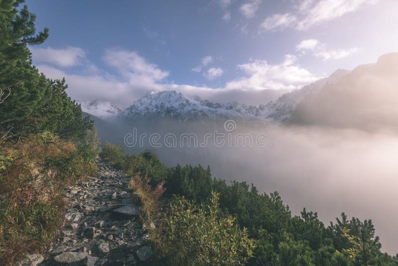 Misty morning view in wet mountain area in slovakian tatra. tour