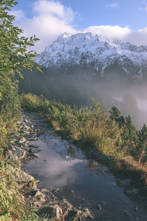 Misty morning view in wet mountain area in slovakian tatra. tour