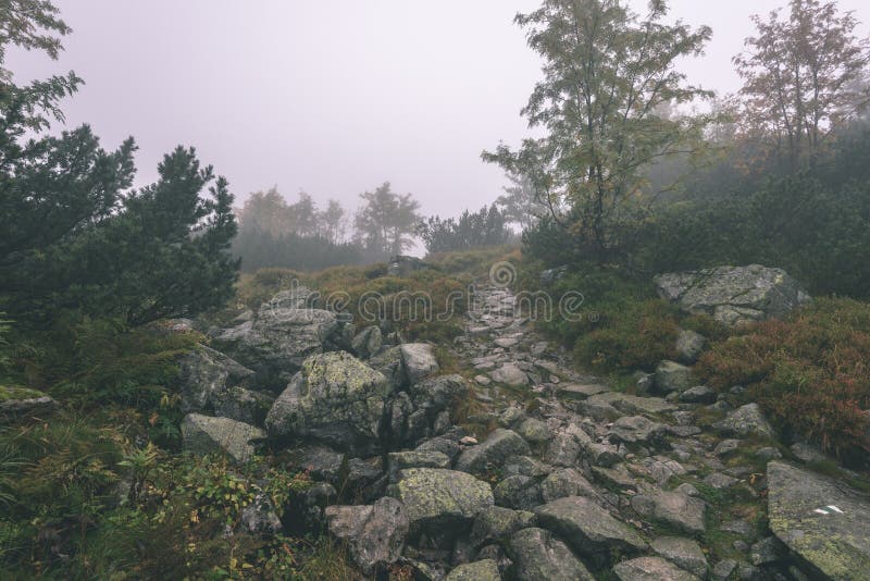 Mlhavé ráno pohled v mokré horské oblasti ve slovenských Tatrách. prohlídka