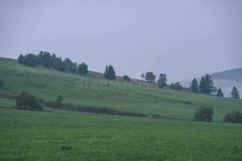 Misty morning view in wet mountain area in slovakian tatra - vintage film look