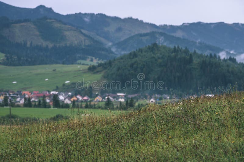 Misty morning view in wet mountain area in slovakian tatra - vintage film look