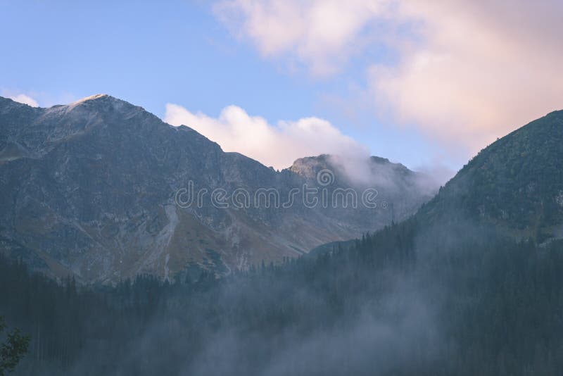 Misty morning view in wet mountain area in slovakian tatra - vintage film look