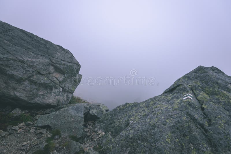 Misty morning view in wet mountain area in slovakian tatra - vintage film look