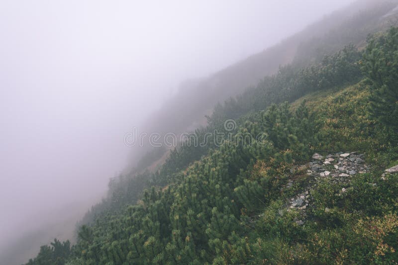 Mlhavé ráno pohled v mokré horské oblasti ve slovenských Tatrách - vzhled vintage filmu