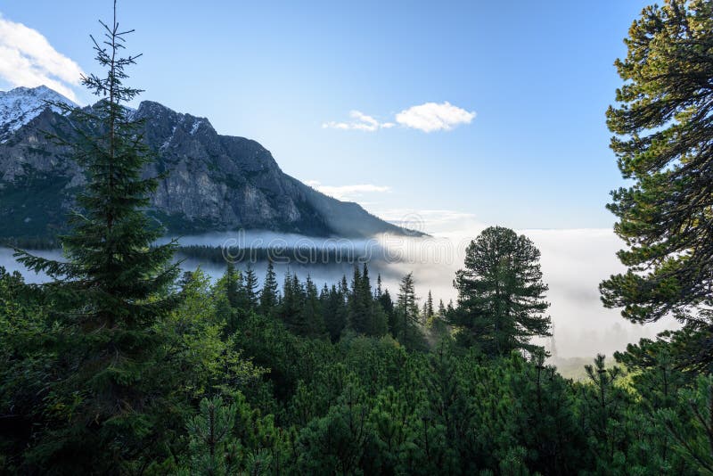 Misty morning view in wet mountain area in slovakian tatra