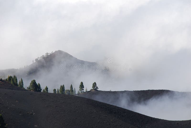 Misty mountain top