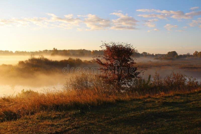 Misty nature landscape on early autumn morning. Russia. royalty free stock photo Misty nature landscape on early autumn morning. Russia. royalty free stock photo