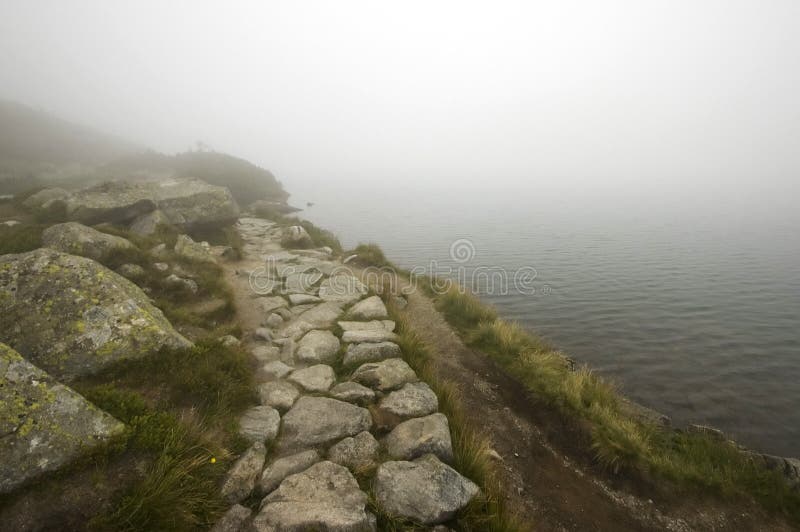 Misty pathway