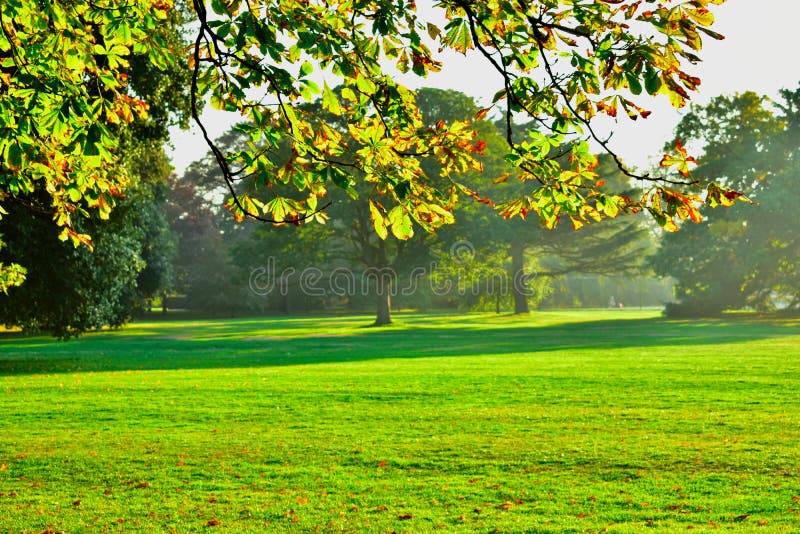 Misty and sunlight morning in a park. Mystery of Mother Nature as the mist lightly covers the trees on misty morning in early autumn royalty free stock photography Misty and sunlight morning in a park. Mystery of Mother Nature as the mist lightly covers the trees on misty morning in early autumn royalty free stock photography