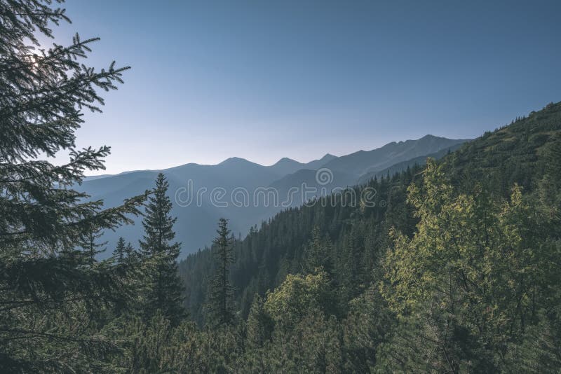 Misty sunrise in Slovakian Tatra mountains with light lanes in fog over dark forest. autumn in hiking trails - vintage old film