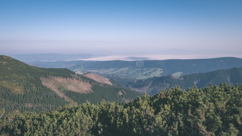 Misty sunrise in Slovakian Tatra mountains with light lanes in fog over dark forest. autumn in hiking trails - vintage old film