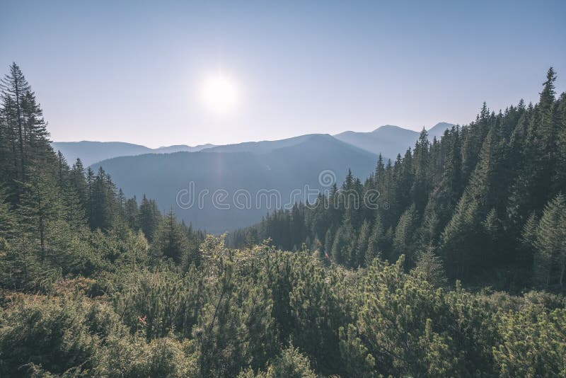 Misty sunrise in Slovakian Tatra mountains with light lanes in fog over dark forest. autumn in hiking trails - vintage old film