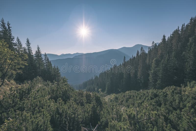 Mlhavé svítání ve slovenských Tatrách se světlými pruhy v mlze nad temným lesem. podzim v turistických stezkách - starý film
