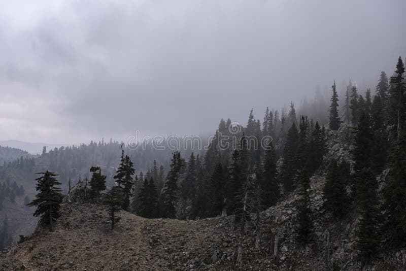 Misty Weather in the Mountains and a Cold Season in December Stock