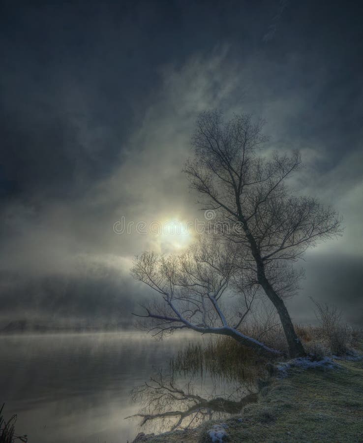 Nebbiosa mattina d'inverno, è stata presa in un lago vicino a Sofia, in Bulgaria.