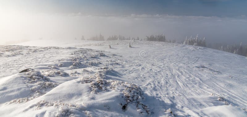 Misty winter mountain scenery with snow covered meadow, smaller trees, mist and clear sky above