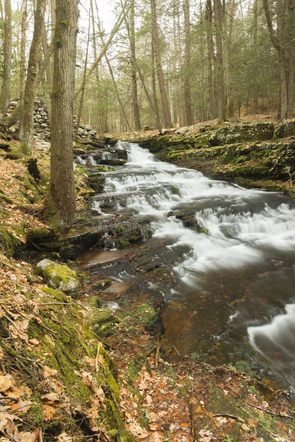 Download Misty Woodland Waterfall stock foto. Afbeelding bestaande uit bomen - 54092088