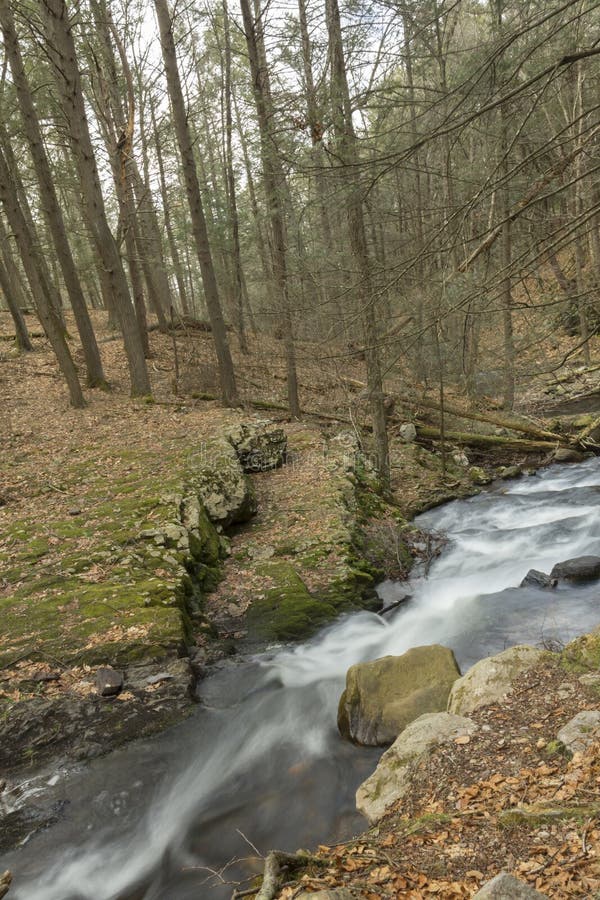 Download Misty Woodland Waterfall stock foto. Afbeelding bestaande uit steen - 54092096