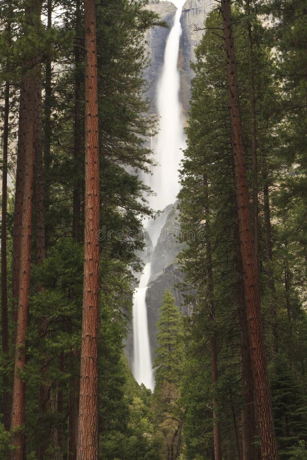 Misty Yosemite Falls through Forest