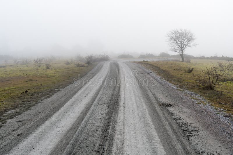 misty δρόμος χωρών στοκ φωτογραφία με δικαίωμα ελεύθερης χρήσης misty δρόμος χωρών στοκ φωτογραφία με δικαίωμα ελεύθερης χρήσης