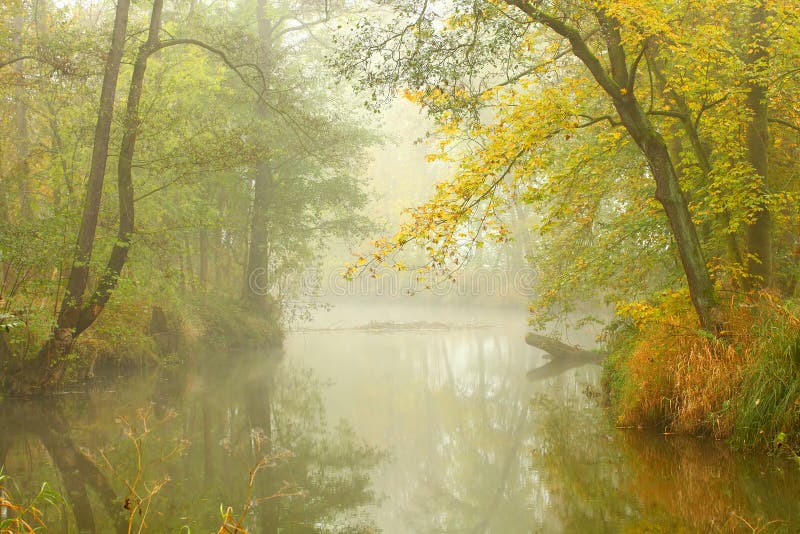 Misty ποταμός radbuza ημέρας φθινοπώρ&omi στοκ εικόνες