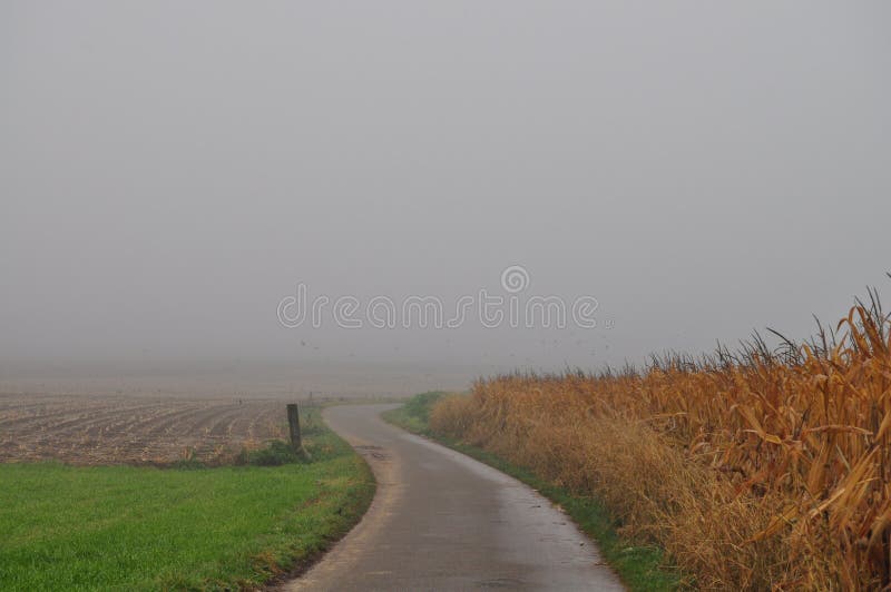 misty πρωί στοκ εικόνες misty πρωί στοκ εικόνες