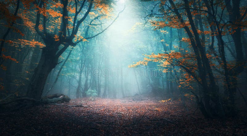 Mistyczny las w błękitnej mgle w jesieni kolorowe krajobrazu