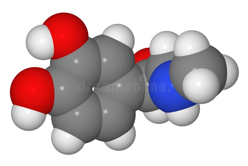 Space-filling model of adrenaline molecule isolated on white background. Space-filling model of adrenaline molecule isolated on white background