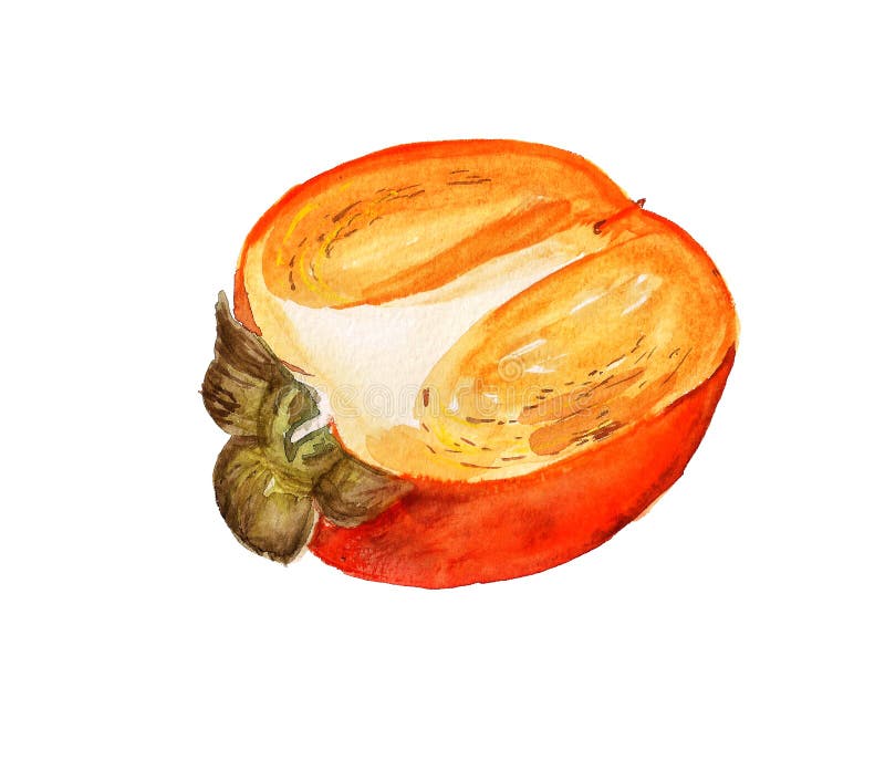 Mitad de dátil-ciruela ilustración del vector