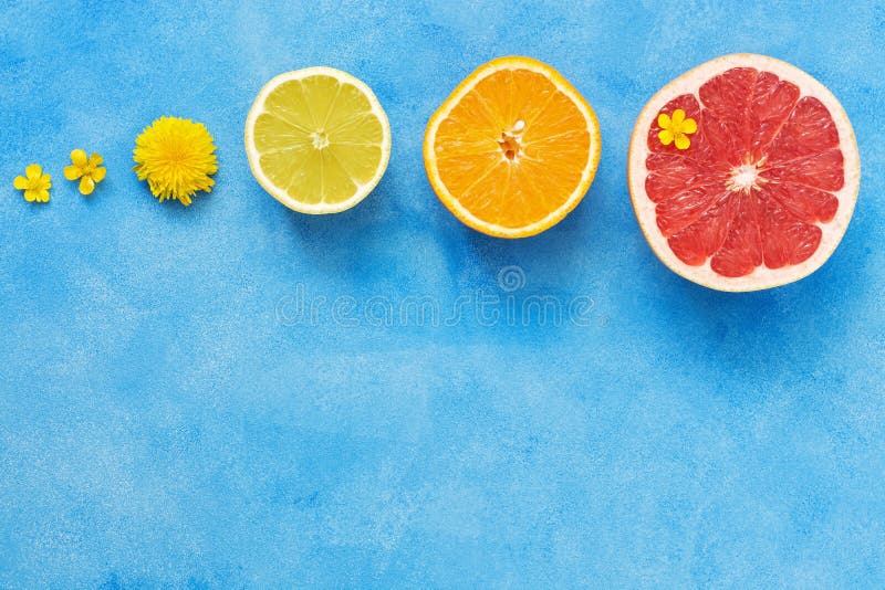 Mitades de agrios en fila en un fondo azul Naranja, limón, pomelo y pequeñas flores amarillas del ranúnculo La visión f imagen de archivo Mitades de agrios en fila en un fondo azul Naranja, limón, pomelo y pequeñas flores amarillas del ranúnculo La visión f imagen de archivo