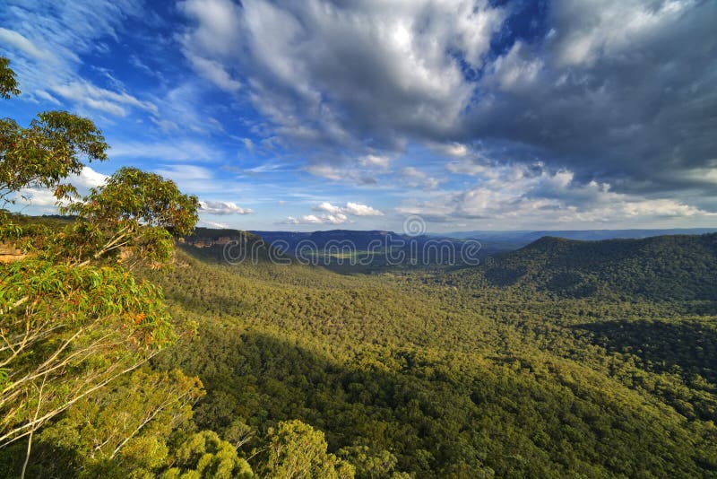 Mitchell& x27;s Ridge Lookout, Mount Victoria, Blue Mountains, Austra