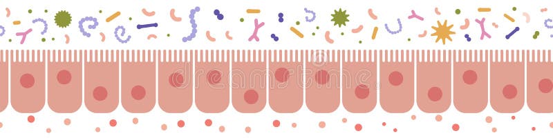 Mittceller från människa, sömlös gräns. ohälsosam illustration av cellmönster i epitelceller med flata vektorer. stock illustrationer