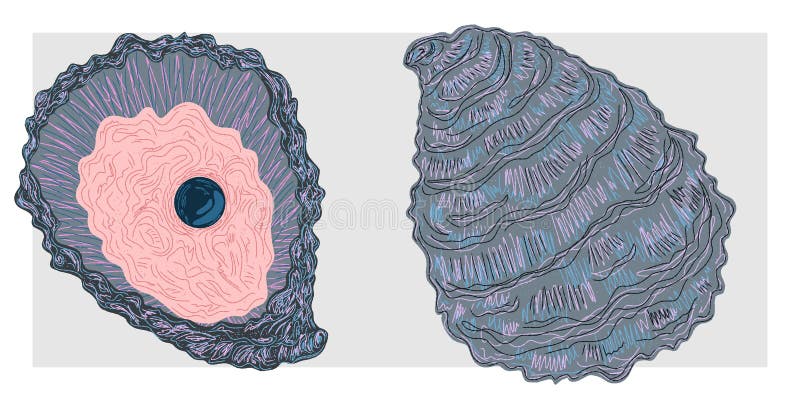 Mittelmeerelement exotische tropische. Texturierte Illustration mit handgezeichneten Skizzaelementen lizenzfreie abbildung