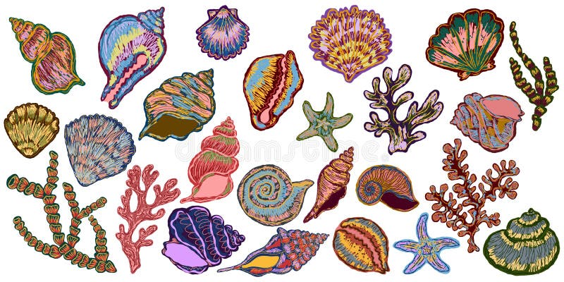 Mittelmeerelement exotische tropische. Texturierte Illustration mit handgezeichneten Skizzaelementen stock abbildung