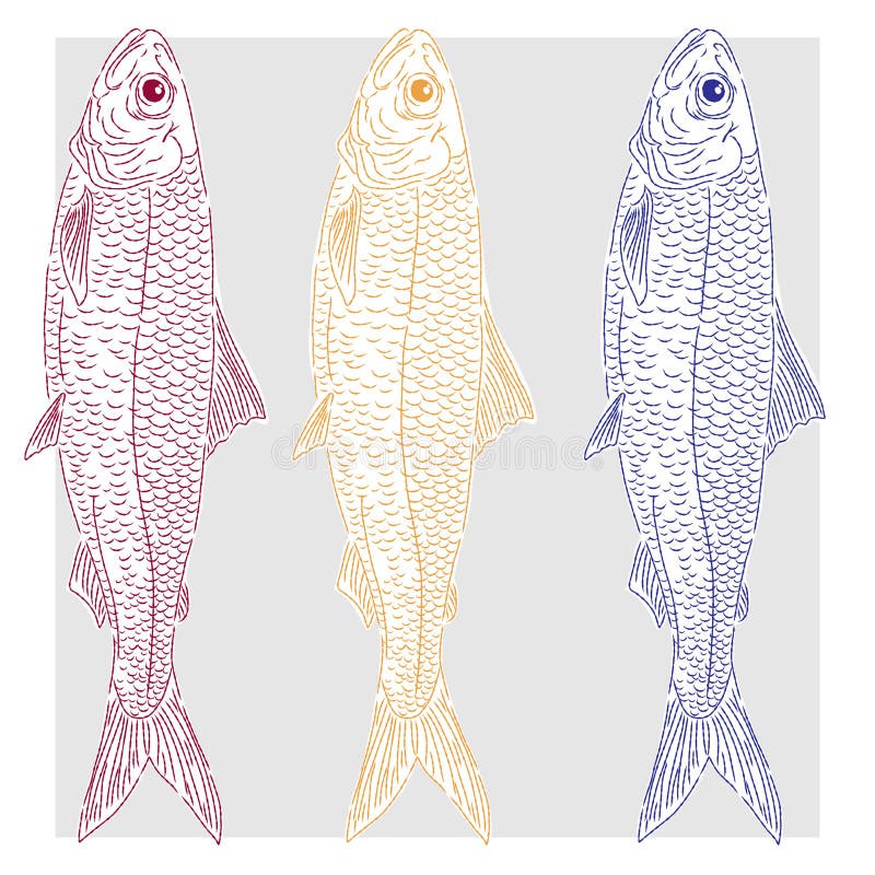 Mittelmeerelement exotische tropische. Texturierte Illustration mit handgezeichneten Skizzaelementen lizenzfreie abbildung