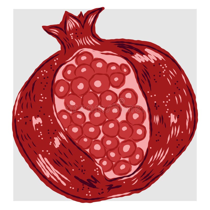 Mittelmeerelement exotische tropische. Texturierte Illustration mit handgezeichneten Skizzenelementen vektor abbildung