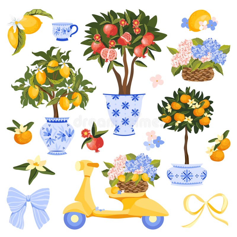 Mittelmeerelement mit Obstbäumen in Töpfen. Handgezeichnete Sammlung mediterraner Elemente mit Zitronenpomegranat und Tangerine Orangenbäumen in dekorativen Töpfen Zitrusfrüchte und gelben Roller mit Hydrangea Blumenkorb. Vektor-Abbildung.
