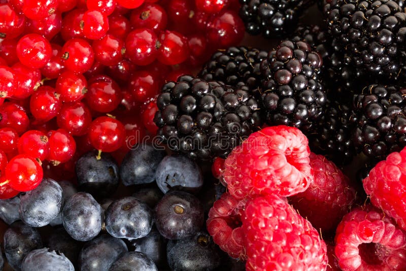 Mix of different berries stock image. Image of collection 45276297