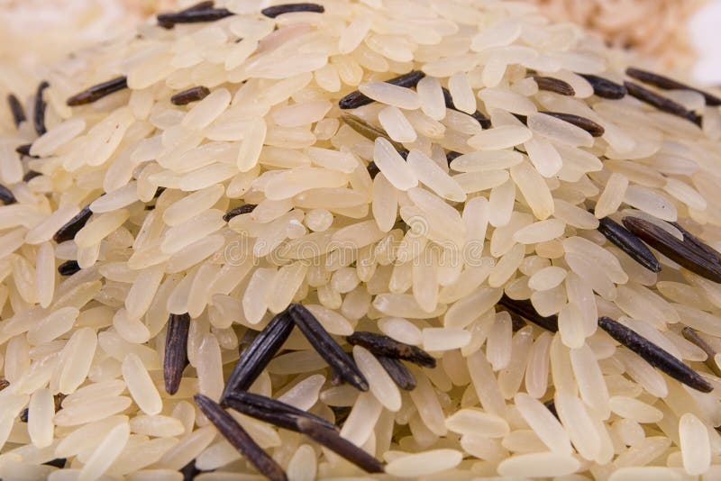 Mix of Jasmine and Wild Rice Stock Image Image of jasmine, vitamin