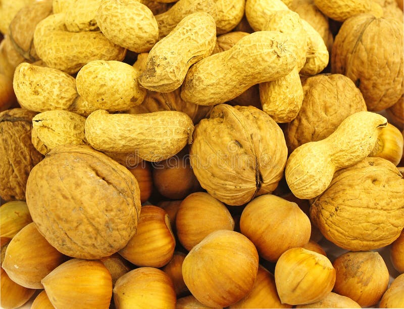 A mix of nuts stock image. Image of large, fruit, refreshment 29303669