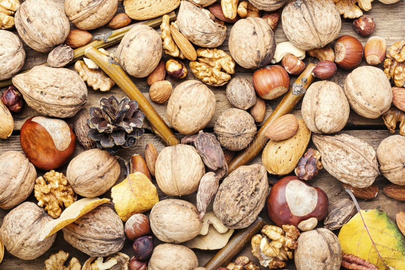 Mix nuts close up royalty free stock photography